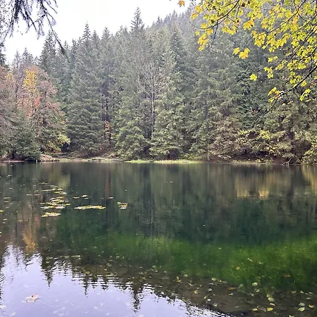 Tannenblick 2-1 아파트 *