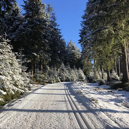Tannenblick 2-1 דירה