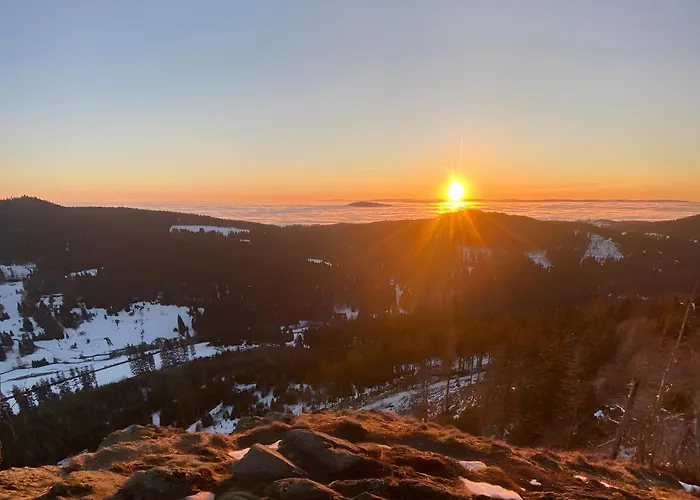 Appartement Tannenblick 2-1 *
