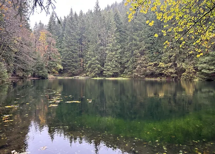 Tannenblick 2-1 Appartement *