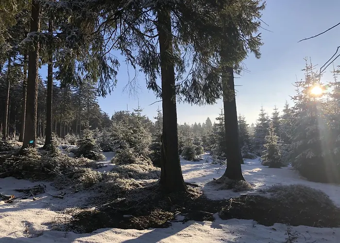 Appartement Tannenblick 2-1