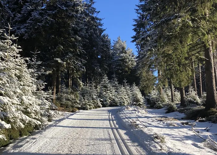 Tannenblick 2-1 Appartement